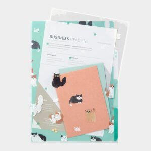 MIDORI | Archivador 3 fundas transparentes A4 - Cat A