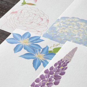MIDORI | Bloc 16 Hojas Ilustradas Alargadas WASHI ECHIZEN - Summer Flowers