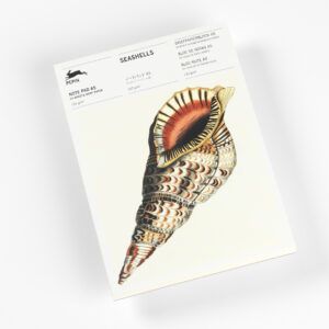 THE PEPIN PRESS | Bloc Notas Ilustrado A5 - Seashells