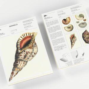THE PEPIN PRESS | Bloc Notas Ilustrado A5 - Seashells