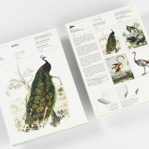 THE PEPIN PRESS | Bloc Notas Ilustrado A5 - Birds