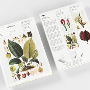 THE PEPIN PRESS | Bloc Notas Ilustrado A5 - Botanical