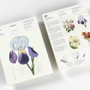 THE PEPIN PRESS | Bloc Notas Ilustrado A5 - Flowers