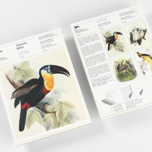 THE PEPIN PRESS | Bloc Notas Ilustrado A5 - Tropical Birds