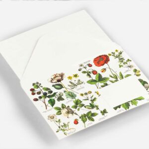 THE PEPIN PRESS | Set 20 Sobres C6 - Botanical