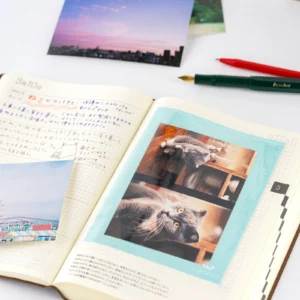 HOBONICHI | Set 5 Bolsillos Adhesivos - Add-on Pocket (Postcard Size)