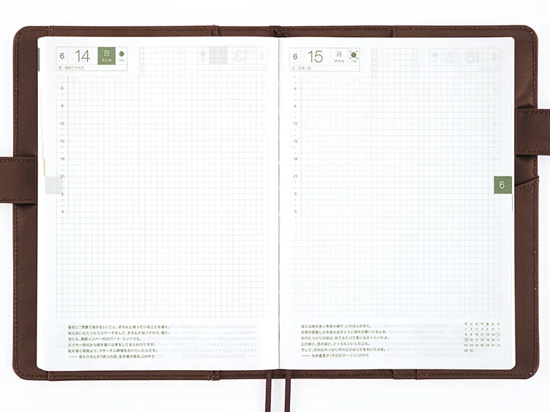 Páginas diarias cuadriculadas de Hobonichi Cousin A5