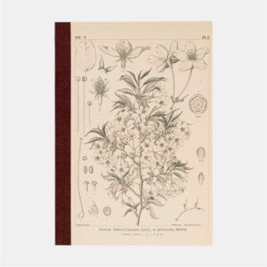 HOBONICHI | Cuaderno Cuadriculado A5 - Tomitaro Makino (Yamazakura)