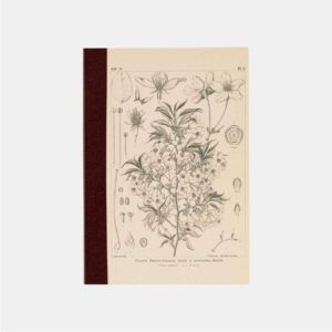HOBONICHI | Cuaderno Cuadriculado A6 - Tomitaro Makino (Yamazakura)