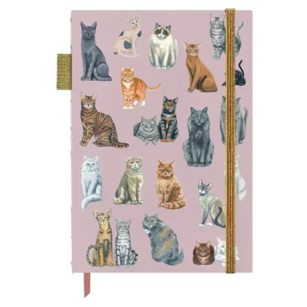 1CANOE2 | Cuaderno Bullet Journal A5 Rayado – Feline Friends Cats